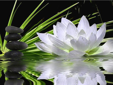 Broderie Diamant Fleur de lotus & Obsidienne