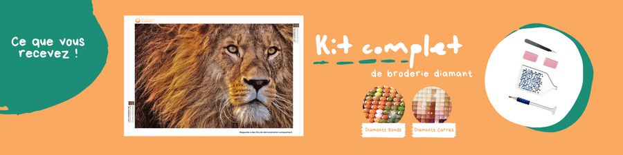 Broderie Diamant - Kit complet