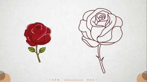 Comment dessiner une rose facilement ?