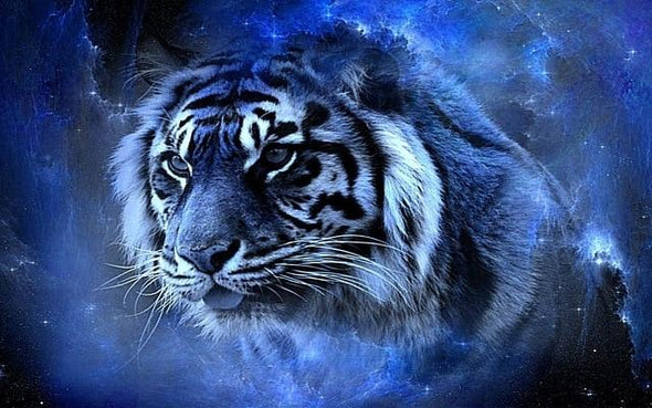 Broderie Diamant Bleue Tigre