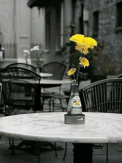 Broderie Diamant Bouquet jaune terrasse de café