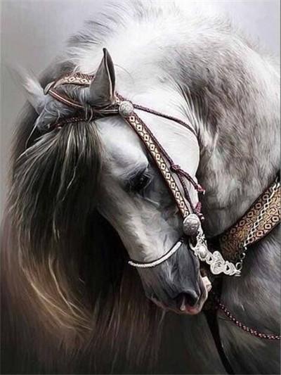 Broderie Diamant Cheval Majestueux