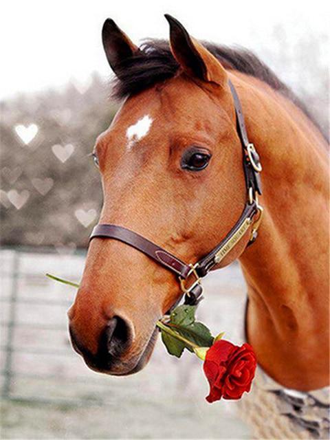 Broderie Diamant Cheval & Rose