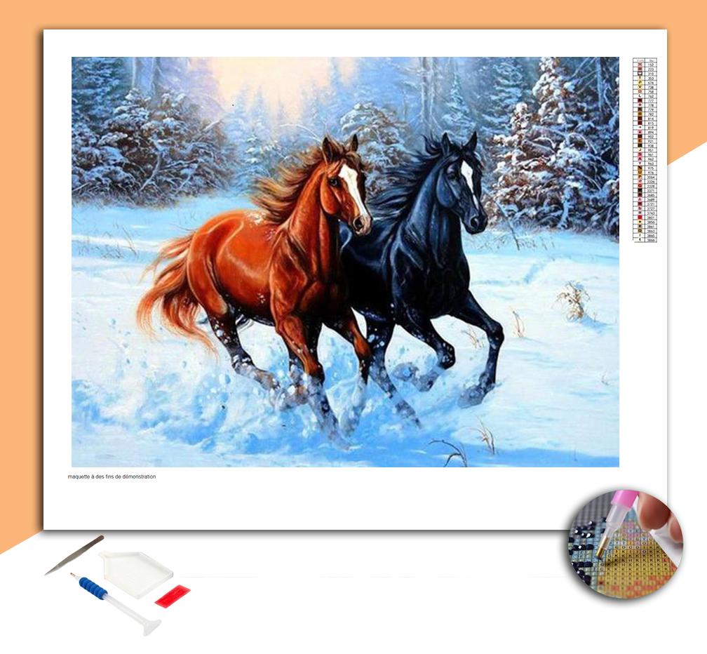 Mecate - Cordon avec gland en poils de cheval (marron