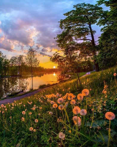 Broderie Diamant Coucher de Soleil sur Rivière