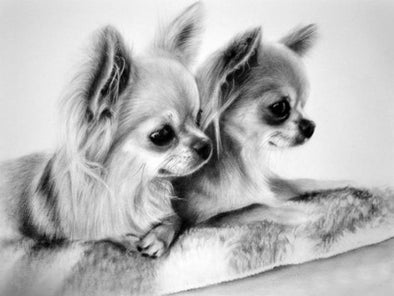 Broderie Diamant Deux Chihuahuas