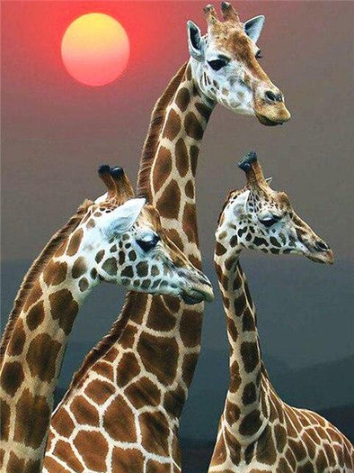 Broderie Diamant Famille de Girafes