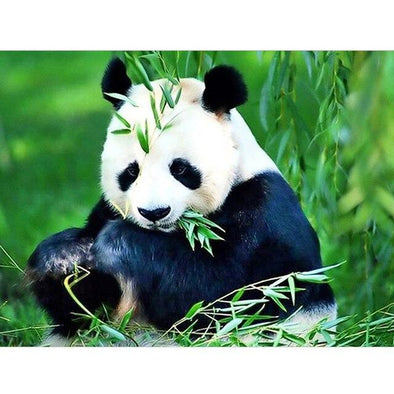 Broderie Diamant Panda fan de bambou