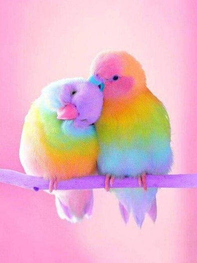 Broderie Diamant Perruches amoureuses multicolores fond rose
