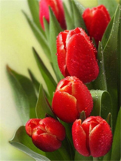 Broderie Diamant Tulipes Rouges