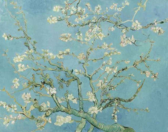 Broderie Diamant Van Gogh Amandier en fleurs