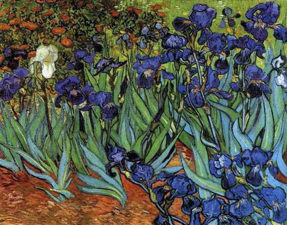 Broderie Diamant Van Gogh Iris 1889