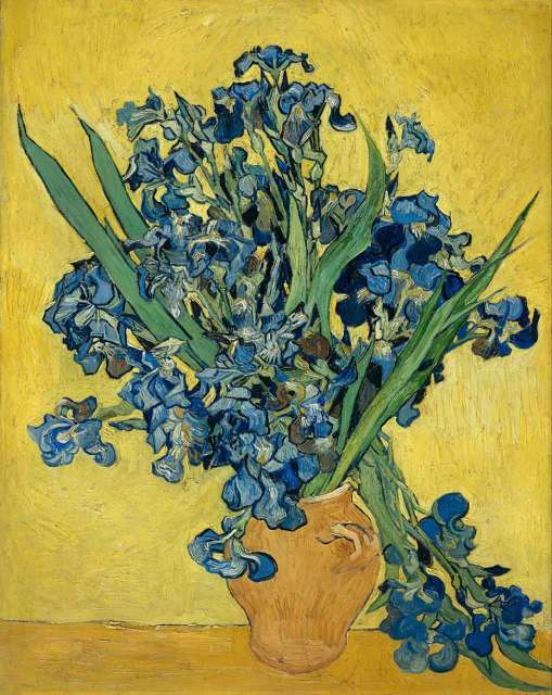 Broderie Diamant Van Gogh Vase d’iris